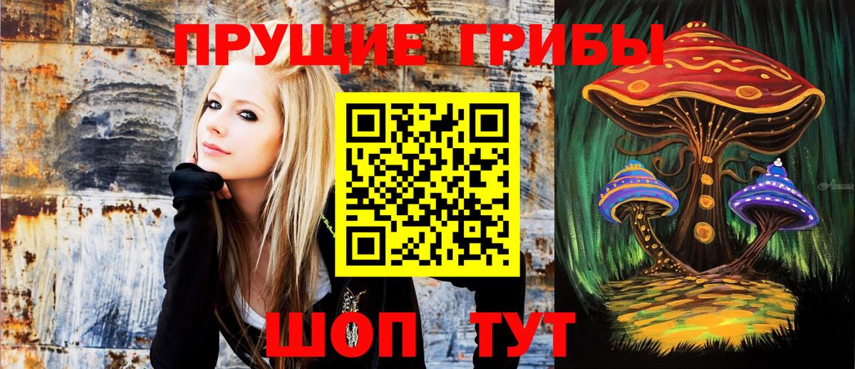 Галлюциногенные грибы Magic Shrooms Сергиев Посад